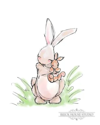 Смешные картинки животных – Выпуск № 9 (Кролики и зайцы) – Интересные  животные