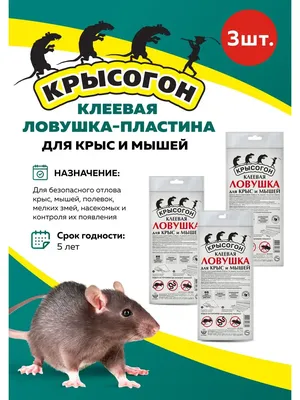 DEZUS (Дезус) приманка от грызунов, крыс и мышей (мягкие брикеты) (сыр),  300 г