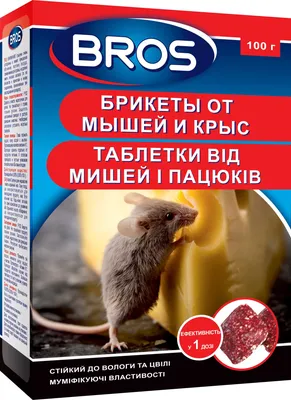 Корм для крыс и мышей \"Кеша\" с минералами, 500 гр купить по цене 128 ₽ в  интернет-магазине KazanExpress
