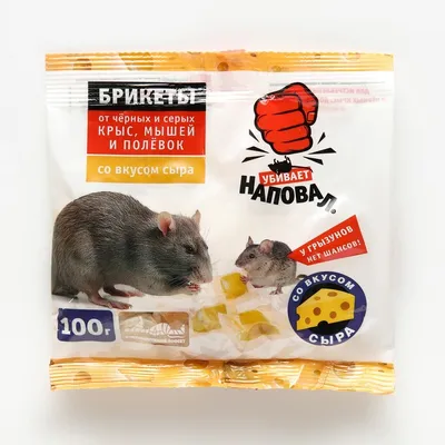 Приманка для крыс мышей Зоокумарин+ 200г Рубит 9903503 купить за 112 ₽ в  интернет-магазине Wildberries