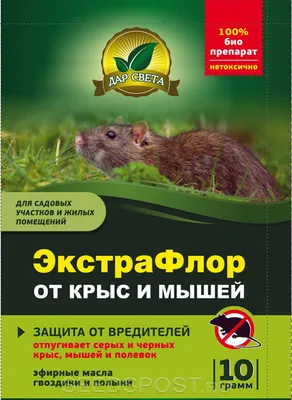 БРОС гранулы от мышей и крыс, 250 г, Польша