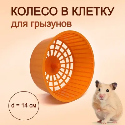 Rubit \"Трикота\" - отрава приманка для крыс и мышей яд, тесто-сырные брикеты  от грызунов 350 гр - купить с доставкой по выгодным ценам в  интернет-магазине OZON (658768463)