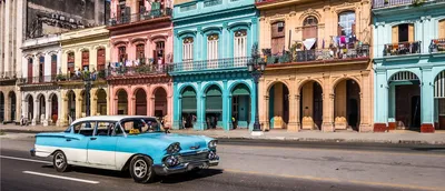 Cuba: Wild Island of the Caribbean | Explore Cuba | Nature | PBS