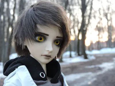 Шарнирная кукла BJD школьница Есения - купить с доставкой по выгодным ценам  в интернет-магазине OZON (1224046912)