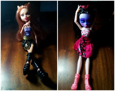 Кукла Клео де Нил из серии Мрак и Цветение - Monster High -  интернет-магазин - MonsterDoll.com.ua