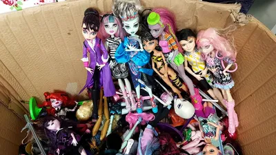 Кукла Клодин Вульф (Clawdeen Wolf), базовая с питомцем, MONSTER HIGH