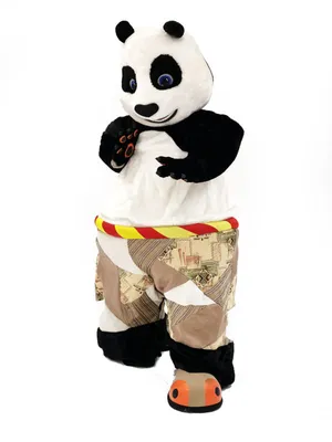 Тетрадь Кунг-фу панда - Kung Fu Panda № 6 - купить с доставкой по выгодным  ценам в интернет-магазине OZON (939798358)