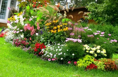 ландшафтный дизайн двора частного дома своими руками фото Ландшафтный дизайн  маленького двора фо… | Дизайн овощного огорода, Японский сад, Идеи для  садового дизайна