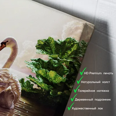 Фотообои Лебеди в пруду | Купить в Москве, низкие цены, интернет-магазин  Artpolygraf