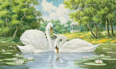 Картина Лебеди в пруду с лилиями 13х18 16х21см 6774248 | AliExpress