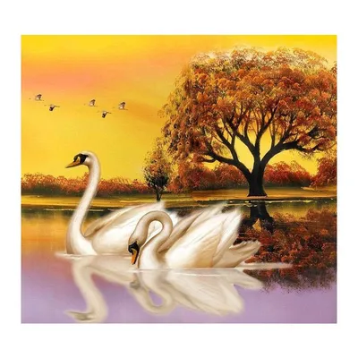 Лебеди на пруду в осеннем парке :: Стоковая фотография :: Pixel-Shot Studio