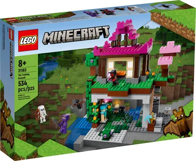 LEGO® Minecraft® Steve's Desert Expedition – 21251 – LEGOLAND New York  Resort