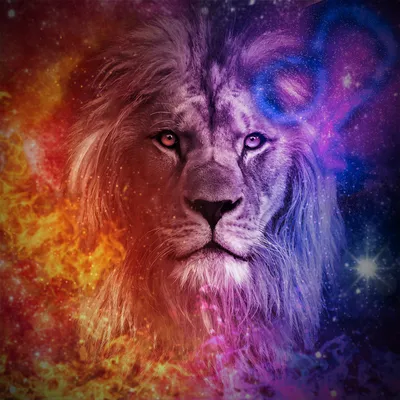 Leo Man Personality Traits, Love Compatibility, and Dating Advice