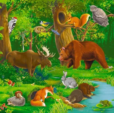 Картинки леса с животными обои