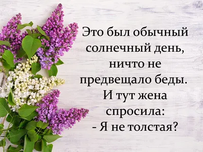 Картинки суббота лето (32 фото) » Юмор, позитив и много смешных картинок