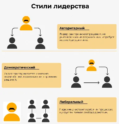 Лидерство. Теория и практика. Профессиональный подход к управлению  компаниями и людьми, Питер Гай Нортхаус – скачать книгу fb2, epub, pdf на  ЛитРес