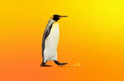 200+] Linux Wallpapers | Wallpapers.com