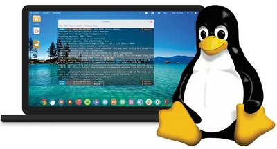 Ten reasons why we should use Linux - Open Source For You