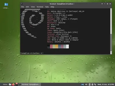 Bodhi: The Enlightened Linux Distribution