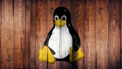 Linux Statistics 2024 By Usage, Share, Trend and Users