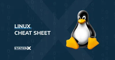 Best Linux training provider and online course of 2024 | TechRadar