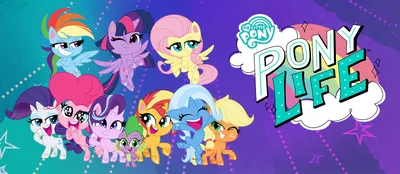 Май Литл Пони MY LITTLE PONY единороги Селестия Искорка My Little Pony  126296478 купить за 712 ₽ в интернет-магазине Wildberries