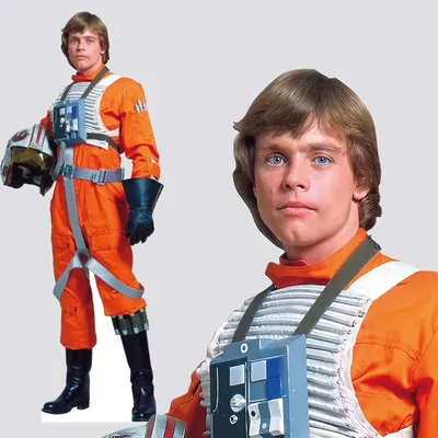 Ростовая фигура Люк Скайуокер (Luke Skywalker) (Звездные войны) 715x1800 мм  - купить по выгодной цене | Магазин шаблонов Принт100