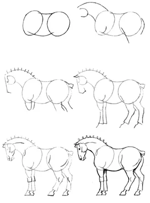 Картинки лошадей для срисовки обои