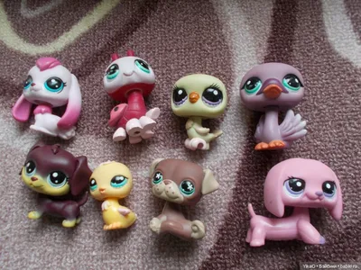 Littlest Pet Shop toys LPSCB Custom Baby LPS dogs and cats girls collection  toys | eBay