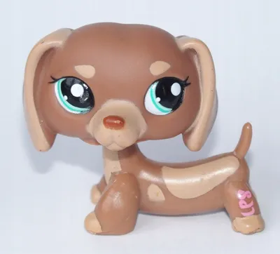 Купить Собаки Littlest Pet Shop LPS с качающейся головой Игрушки Коричневая  такса #1751 Без магнита, цена 1 590 руб — (224517203980)