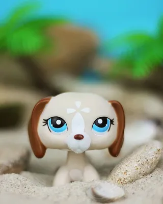 Купить Собака ТАКСА #1751 Littlest Pet Shop LPS ORIGINAL: отзывы, фото и  характеристики на Aredi.ru (9974209981)