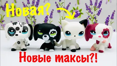 Купить Littlest Pet Shop lps Такса Набор с аксессуарами lps Кока-Кола  Ожерелье, цена 3 190 руб — (313757790838)