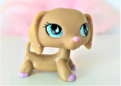 ❤️Littlest Pet Shop LPS #792 468 Short Hair Cat Grey Gray Stripes Blue Eyes  +ACC | #1797693945 | Little pets, Pet shop, Lps pets