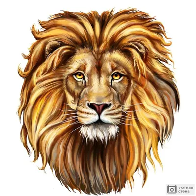 Картинки по запросу лев рисунок | Lion canvas art, Lion painting, Lion  illustration