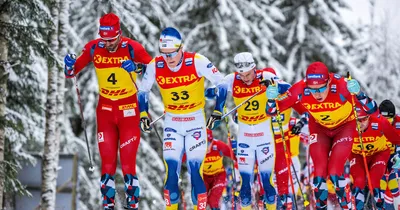 Лыжные гонки: расписание турнира FIS в Муонио - Чемпионат
