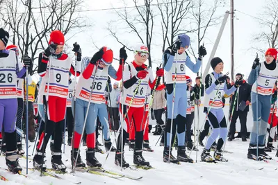 Лыжные гонки | Региональный центр спортивной подготовки по адаптивным видам  спорта