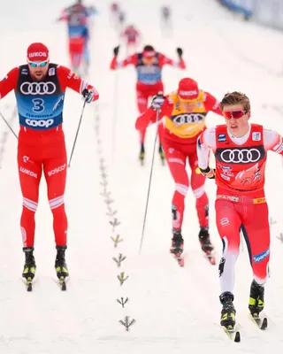 Лыжные гонки» | МБУ ЦФП «Надежда»