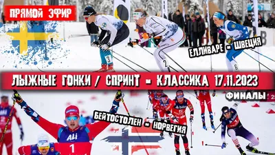 Лыжные гонки – календарь, расписание и результаты турниров сезона  2022-2023, онлайн-трансляции, свежие новости лыжного спорта - Чемпионат
