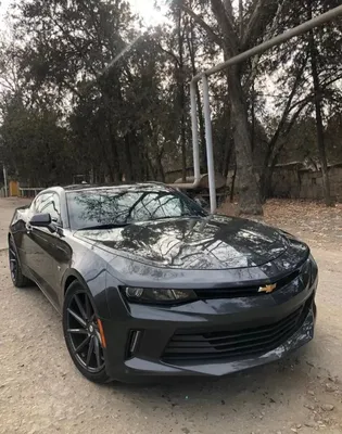 Shot: в Санкт-Петербурге пассажир Chevrolet Camaro выкинул из машины  полкило наркотиков - Газета.Ru | Новости