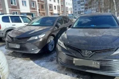 Она нещадно жарит». Белорусы объясняют, почему пересели на новые машины