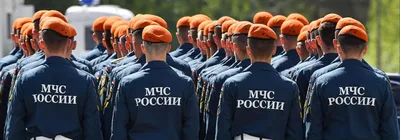 Символике МЧС России исполнилось 25 лет - Все новости - Главное управление МЧС  России по Калининградской области