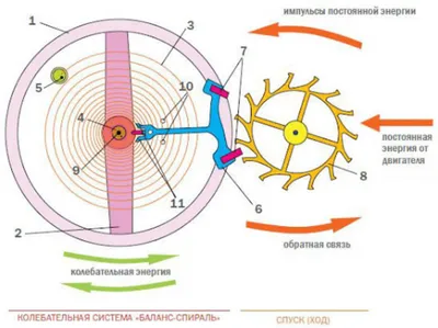 Конструкция и технология сборки механических часов | Часовая Школа и  Академия