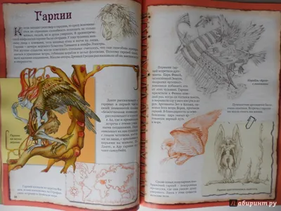 Мифические существа фантазии установили коллекция мифологии карикатур  Иллюстрация вектора - иллюстрации насчитывающей ведущего, кентавр: 204116760