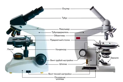 Заказать микроскоп Микромед 1 вар.1-20 выгодно в «НВ-Лаб Москва»