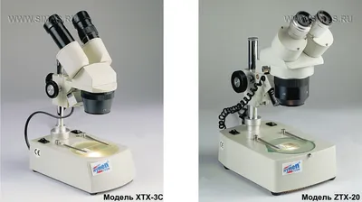Профиль микроскопа стоковое фото. изображение насчитывающей стационар -  13892818