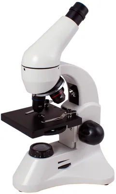Микроскопы и стереомикроскопы