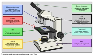 Система модификации микроскопа в конфокальную систему - azimp-micro.ru