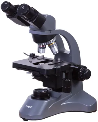 Как выбрать микроскоп для ребенка: первое знакомство с микромиром