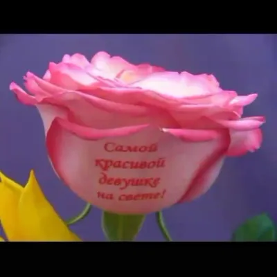 Красивый Букет цветов Подарок женщине любимой девушке Подарки маме подруге  на День Рождения сувениры орхидея (ID#1895252972), цена: 765 ₴, купить на  Prom.ua