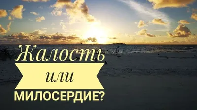 Православная служба «Милосердие» проведет благотворительный праздник «Белый  цветок» | Русская Православная Церковь, Синодальный отдел по церковной  благотворительности и социальному служению